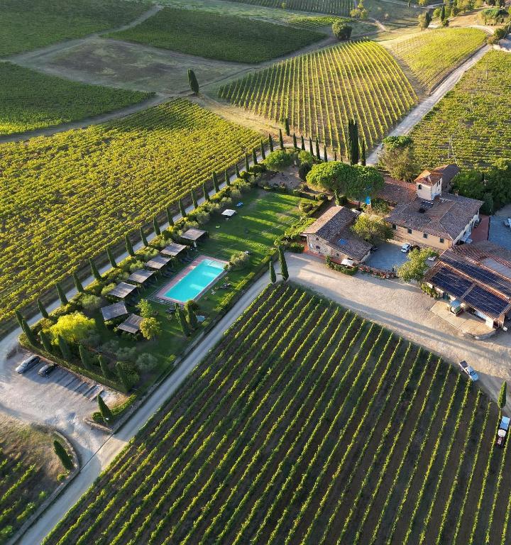 Fattoria Viticcio - Soggiorno & Degustazione Toscana Fattoria Viticcio