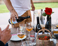 Svetoni Farm - Premium Experience SVETONI
