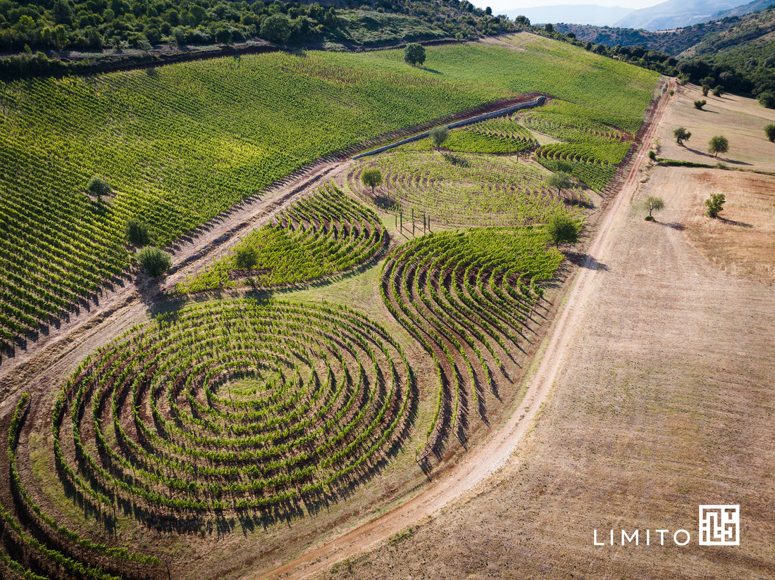 Marco carpineti - Meeting aziendali & Team Building Lazio Marco Carpineti