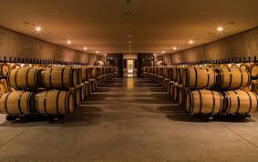 Soggiorno Luxury in Wine Resort - Toscana Wineries Experience