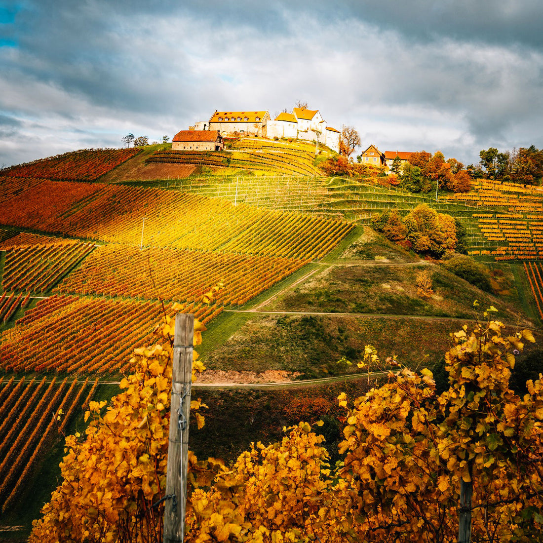 Soggiorno Luxury in Wine Resort - Toscana Wineries Experience