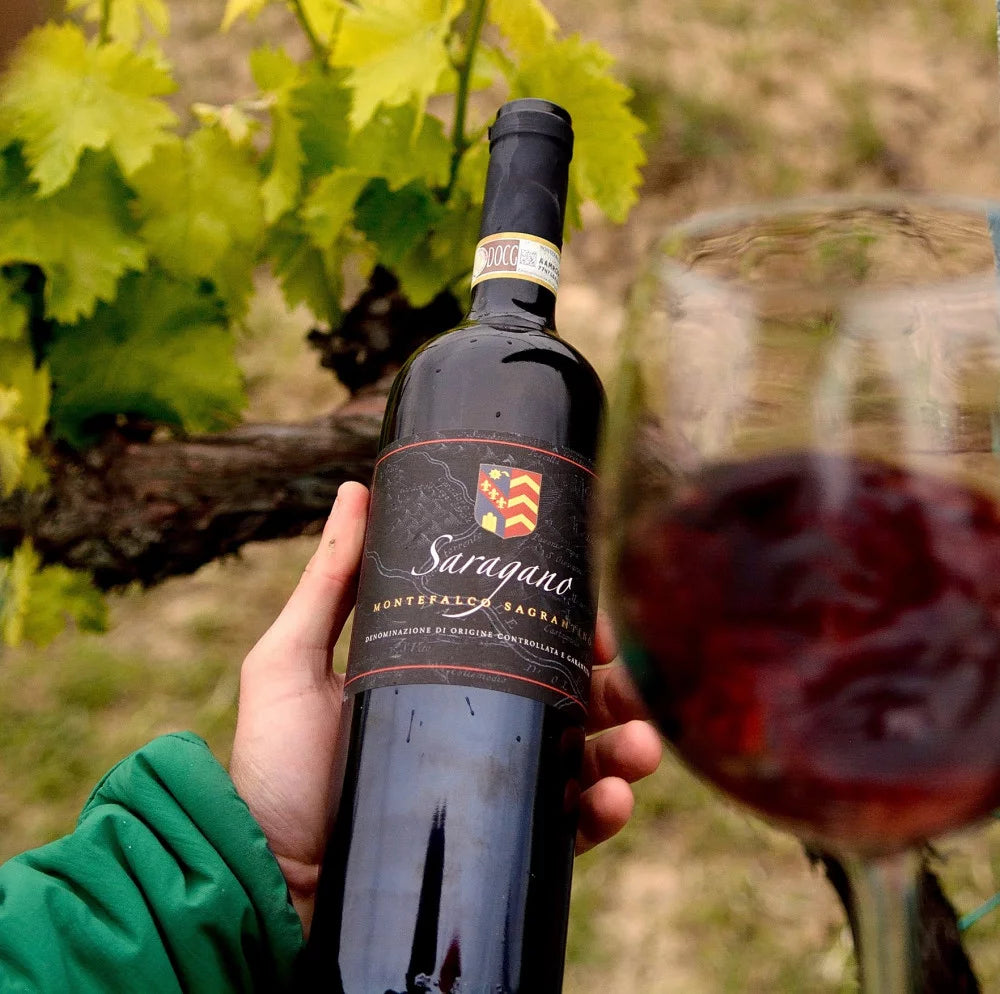 Tenuta di Saragano - Wine Tasting Umbria Tenuta di Saragano