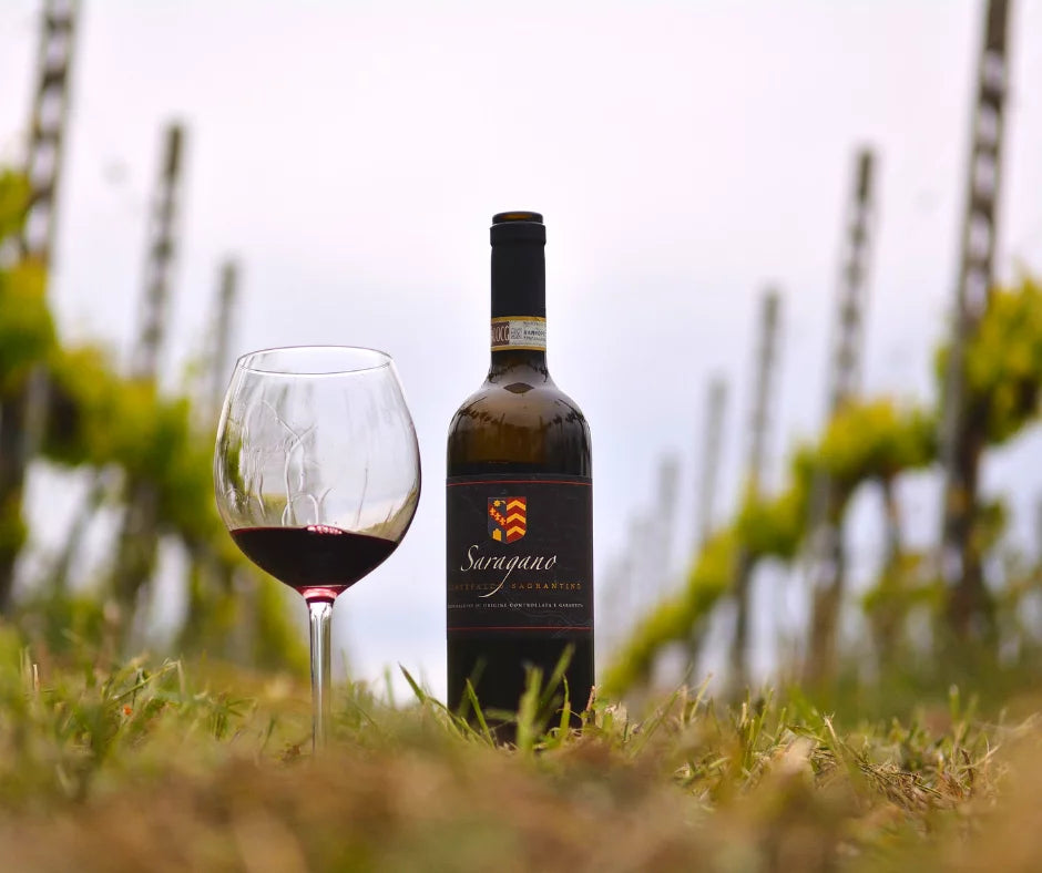 Tenuta di Saragano - Wine Tasting Umbria Tenuta di Saragano