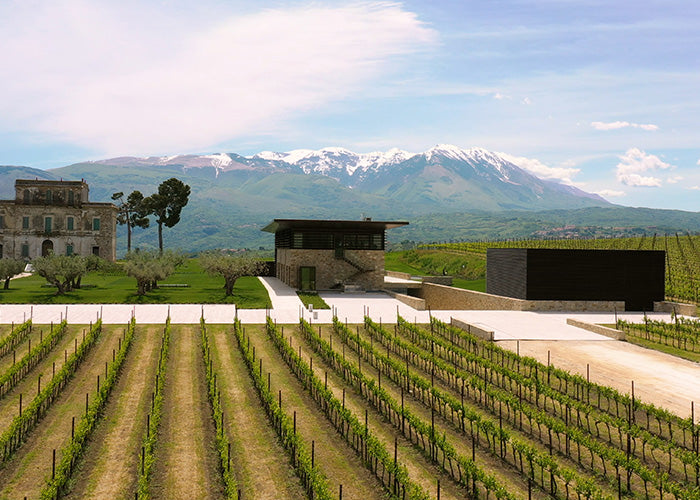Podere Castorani - Pranzo in cantina Abruzzo Podere Castorani
