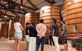 Soggiorno Luxury in Wine Resort - Sardegna Wineries Experience