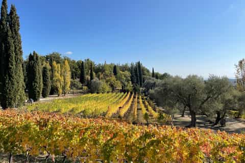 Soggiorno Luxury in Wine Resort - Sardegna Wineries Experience