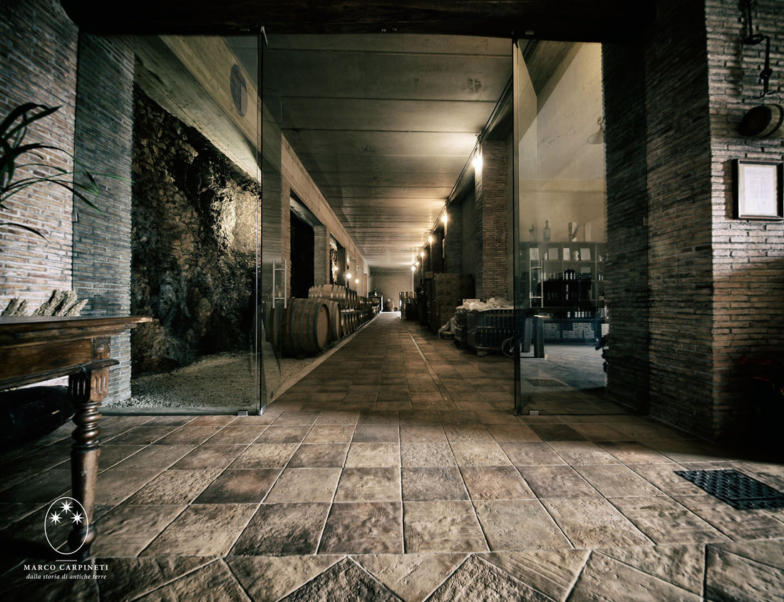 Marco carpineti - PicNic Lazio Marco Carpineti