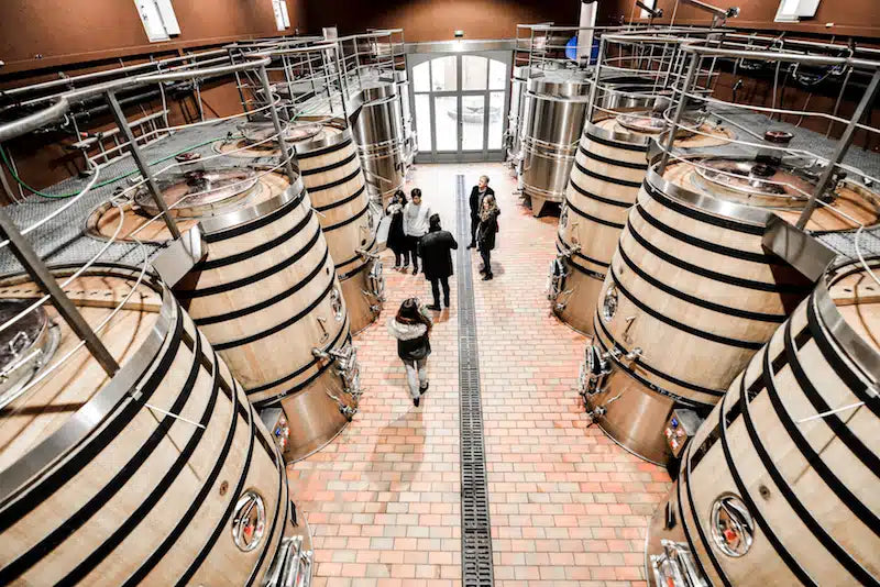 Soggiorno & Degustazione in Wine Resort - Sicilia Umbria Umbria