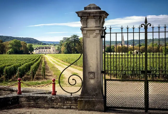 Soggiorno & Degustazione in Wine Resort - Sicilia Umbria Umbria