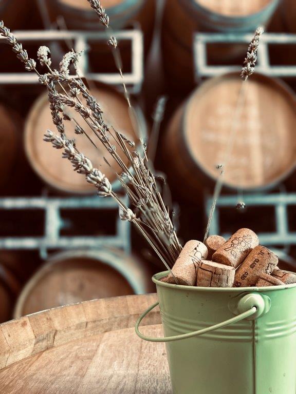 Alessandro Rivetto - Verticale di Barolo Piemonte Alessandro Rivetto