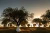La Pizzuta del Principe - Stay + Tasting