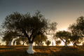 La Pizzuta del Principe - Stay + Tasting