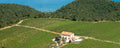 Bodega Leonardi - Cata de 3 vinos 