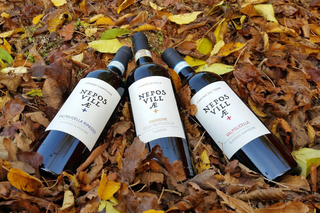 Nepos Villae - Degustazione Valpolicella Veneto Nepos Villae