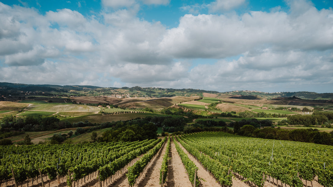 Badia di Morrona - Wine Tour e Degustazione Toscana Badia di Morrona