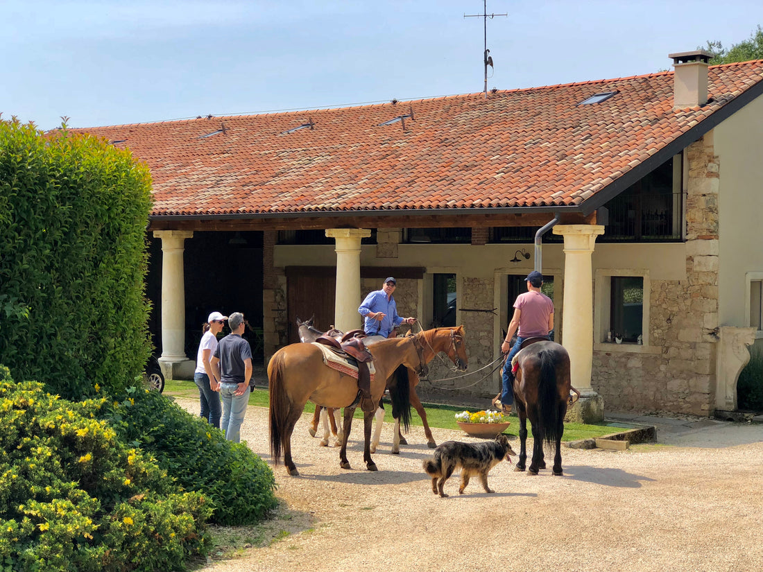 La Pria - Degustazione e Avventura in fuoristrada trai vigneti Veneto La Pria