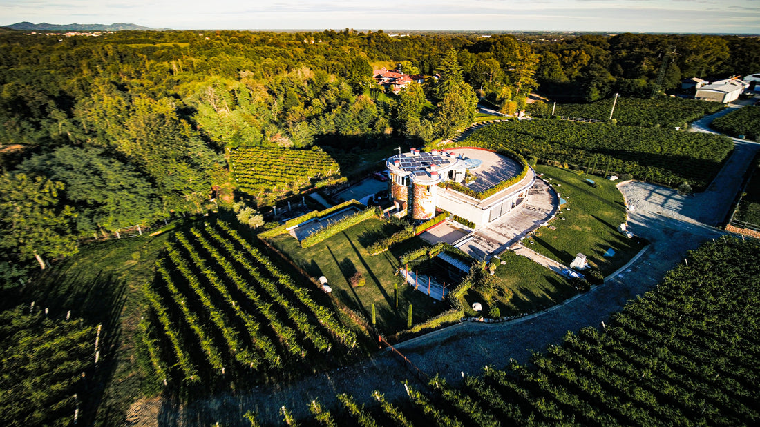 Pietro Cassina - Degustazione alla Cieca Piemonte Pietro Cassina