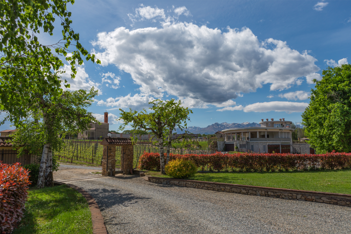 Pietro Cassina - Degustazione Verticale Vespolina Piemonte Pietro Cassina