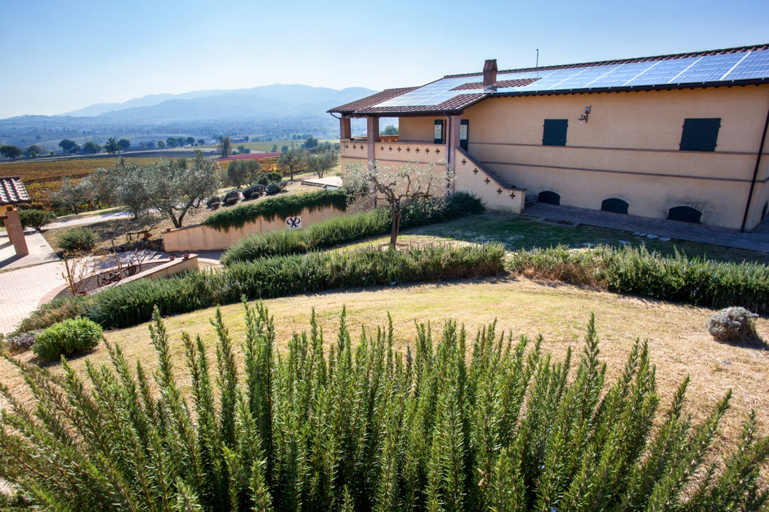 Cantina Perticaia - Wine Experience Exclusive Umbria Cantina Perticaia