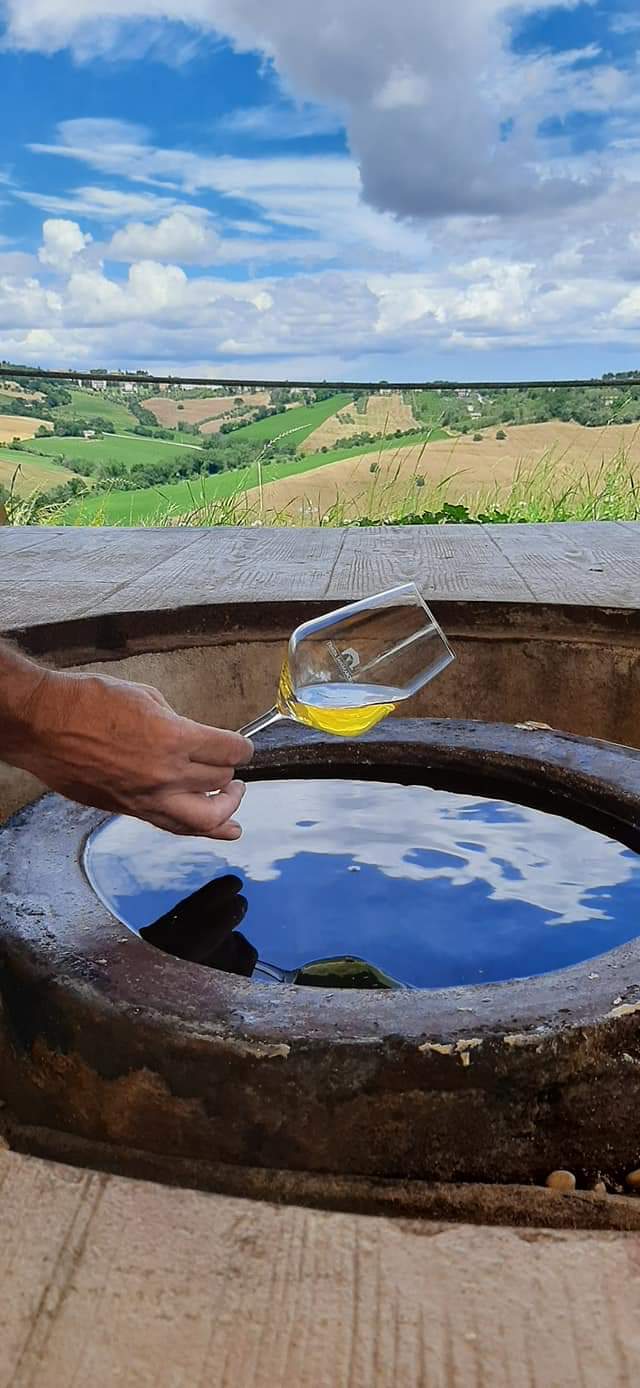 Tenuta San Marcello - “Visita Libera con il Vignaiolo” Marche Tenuta San Marcello