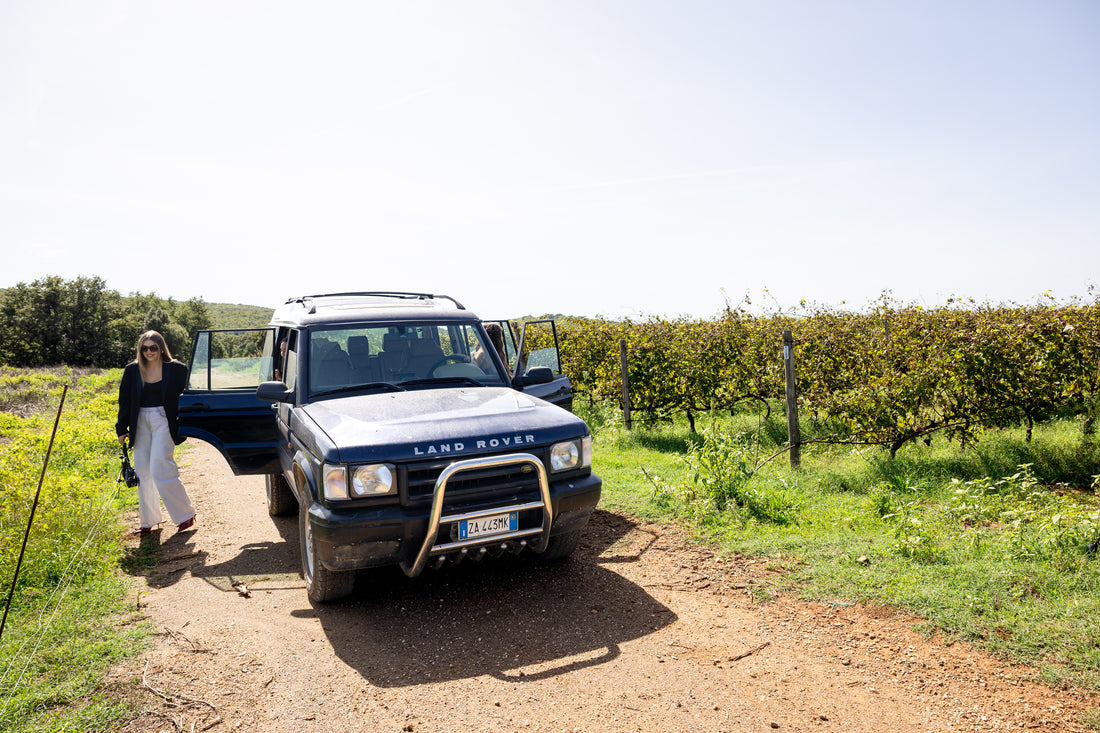Tenuta Montauto - Delicious Tasting Toscana Tenuta Montauto