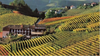 Poderi Luigi Einaudi - Light Lunch 