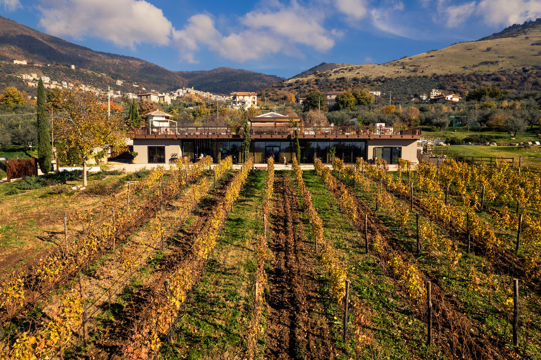 Al Piglio Maison De Charme - Degustazione 4 Calici Lazio Al Piglio Maison De Charme