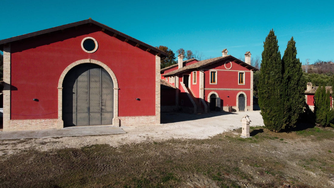 Derasmo Vini - Degustazione Guidata Marche Derasmo Vini