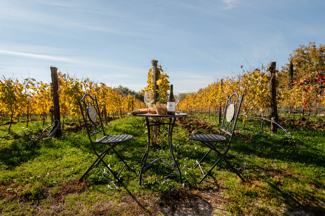 Al Piglio Maison De Charme - Degustazione 4 Calici Lazio Al Piglio Maison De Charme