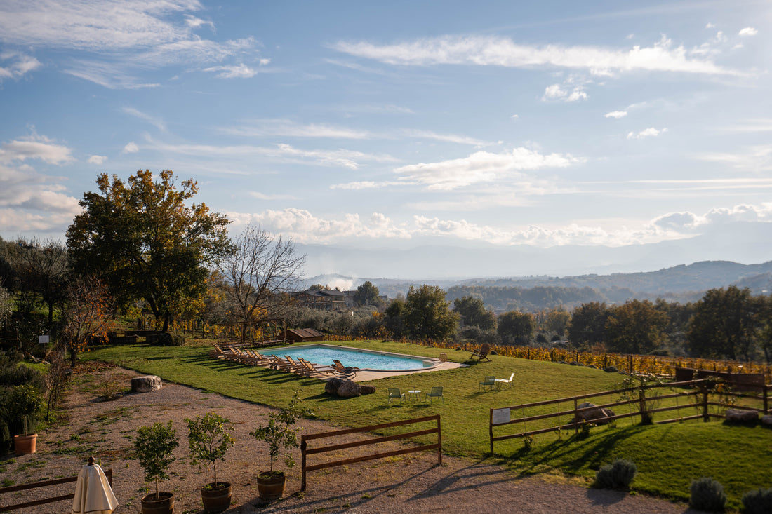 Al Piglio Maison De Charme - Degustazione 4 Calici Lazio Al Piglio Maison De Charme
