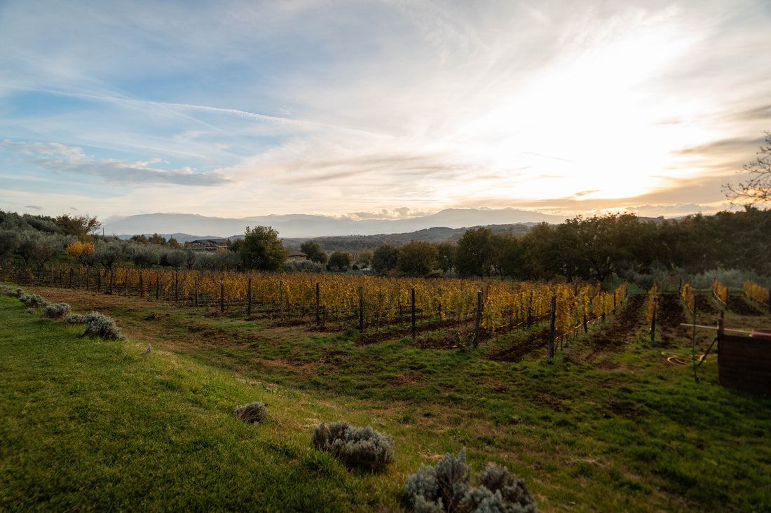 Al Piglio Maison De Charme - Degustazione 4 Calici Lazio Al Piglio Maison De Charme
