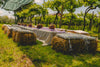 Finca Gianluca Fugolo - Degustación + Picnic