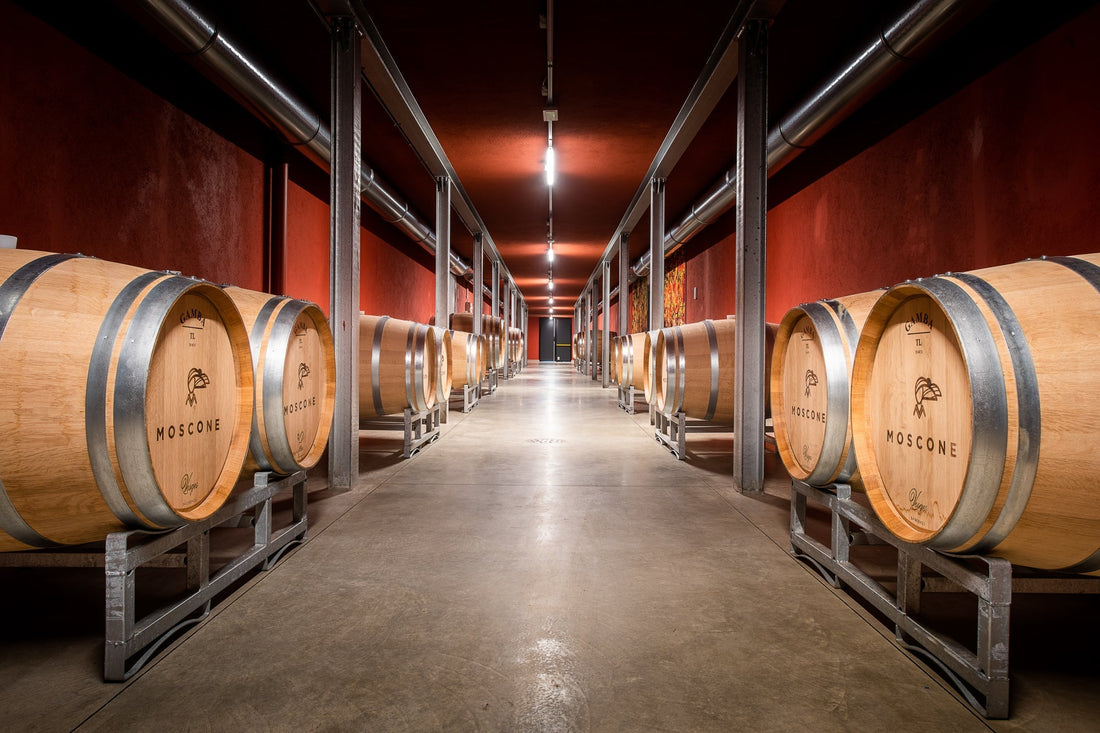 Cantina Moscone - Langa in Piatto Piemonte Cantina Moscone