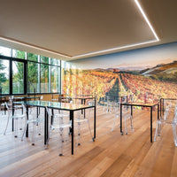 Cantina Moscone - Degustazione Il Monsù Piemonte Cantina Moscone