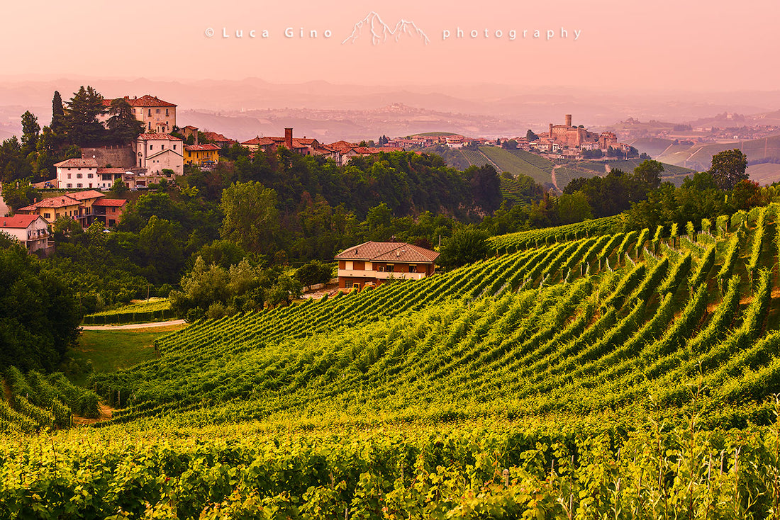 Soggiorno & Degustazione in Wine Resort - Piemonte Piemonte Piemonte
