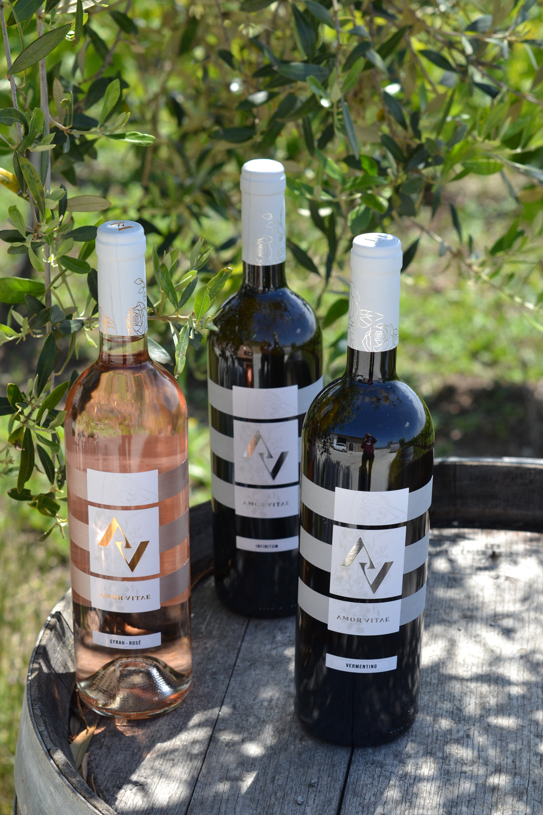 Amor vitae - Menù Degustazione Lazio Amor vitae