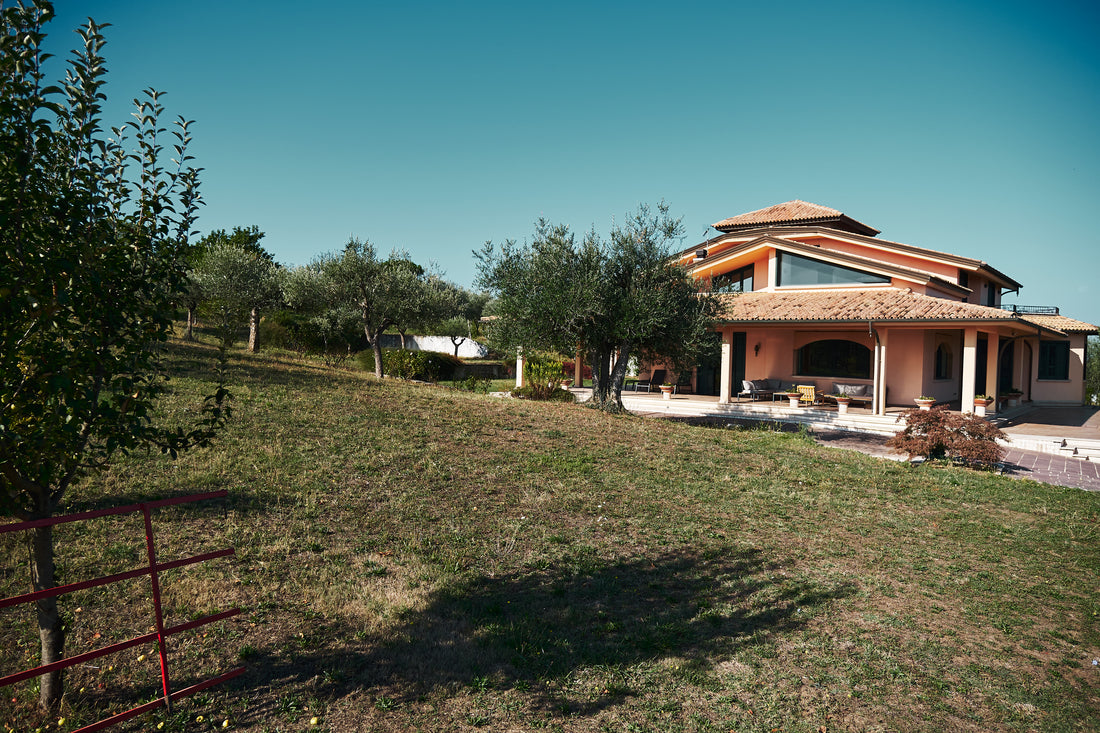 Joaquin - Scoperta dei Grandi Vini Joaquin con Pranzo della Tradizione Irpina Campania Joaquin