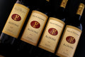 Fattoria Svetoni - Exclusive light lunch