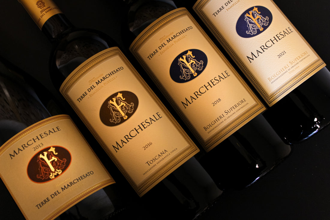 Terre del Marchesato - Degustazione PREMIUM Toscana Terre del Marchesato