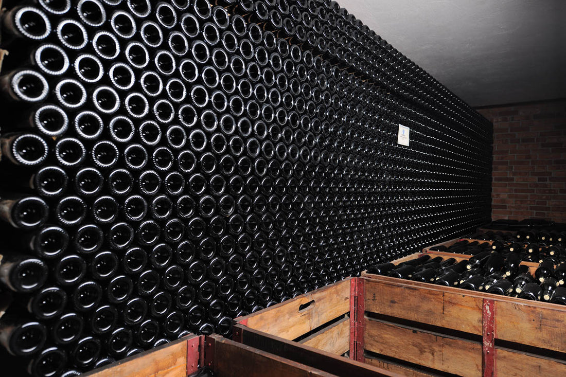 Dosio Vigneti - Alla scoperta di Dosio Vigneti Piemonte Dosio Vigneti