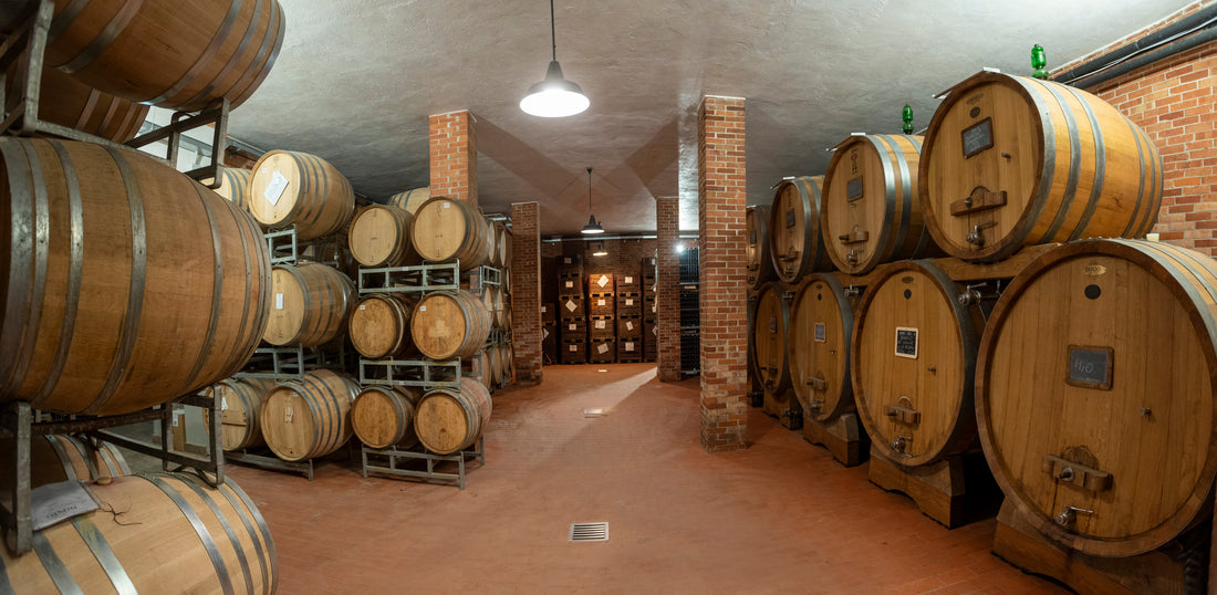 Dosio Vigneti - Alla scoperta di Dosio Vigneti Piemonte Dosio Vigneti