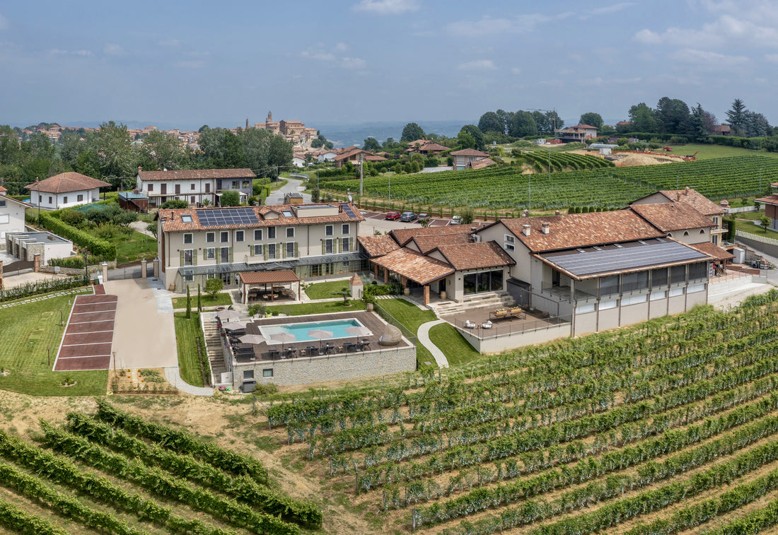 Dosio Vigneti - Alla scoperta di Dosio Vigneti Piemonte Dosio Vigneti