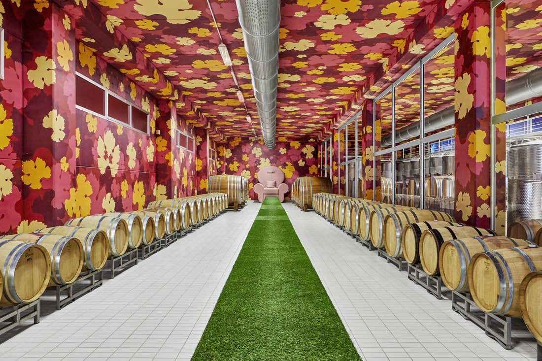 Astemia pentita - Degustazione di vino "Vertical Barolo" Piemonte Astemia pentita