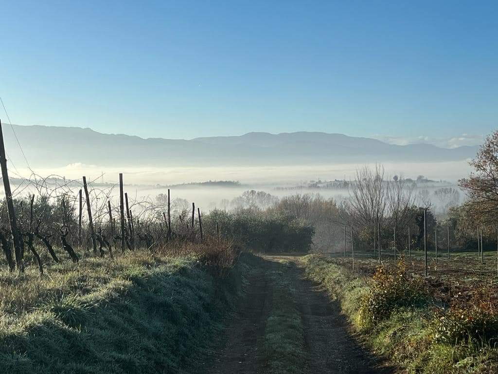 Pileum - La Degustazione Lazio Pileum