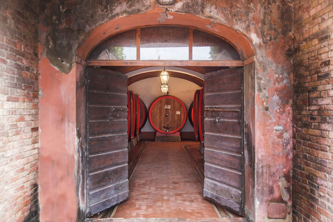 Fattoria Svetoni - Esperienza Premium Toscana Fattoria Svetoni