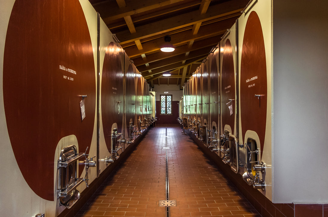 Badia di Morrona - Visita all&