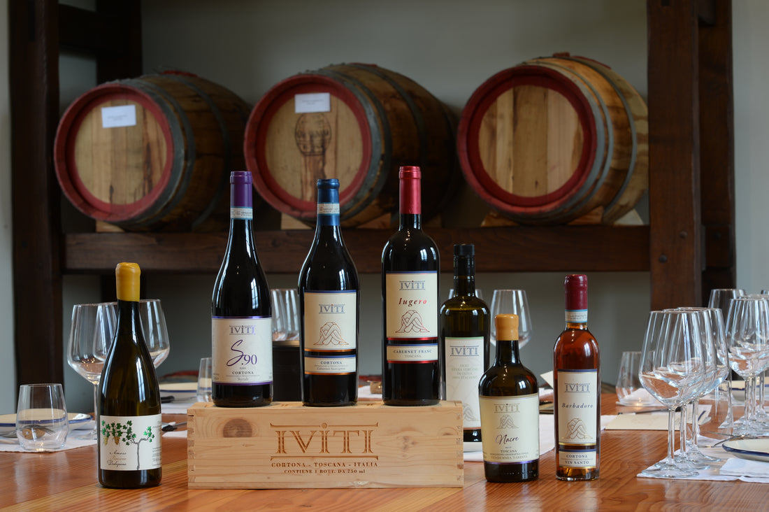 IViti - Pranzo con Degustazione Toscana Iviti