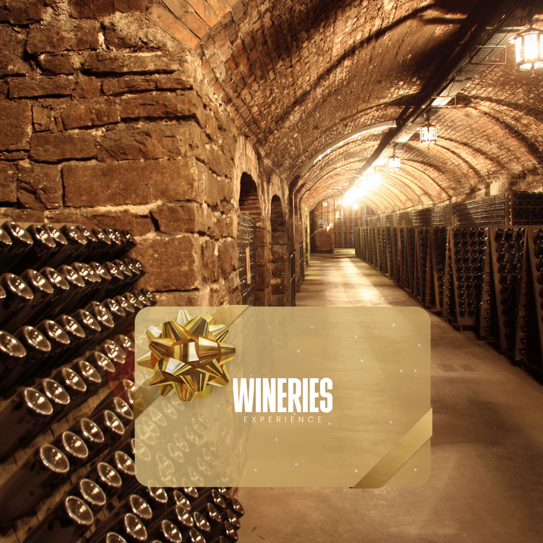 Gift Card - Tour di cantine storiche WINERIES