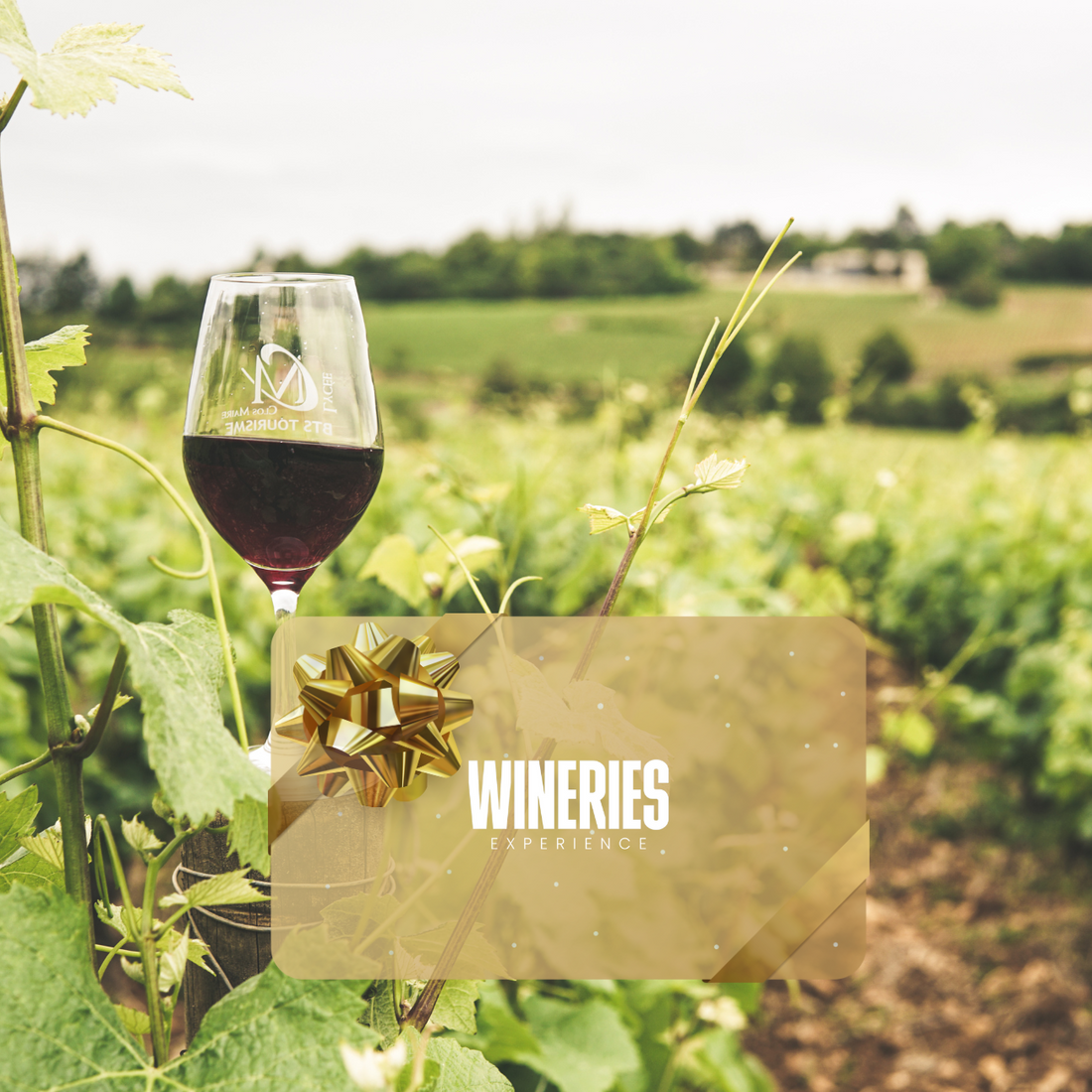 Gift Card – Detox Weekend con Vino Bio WINERIES