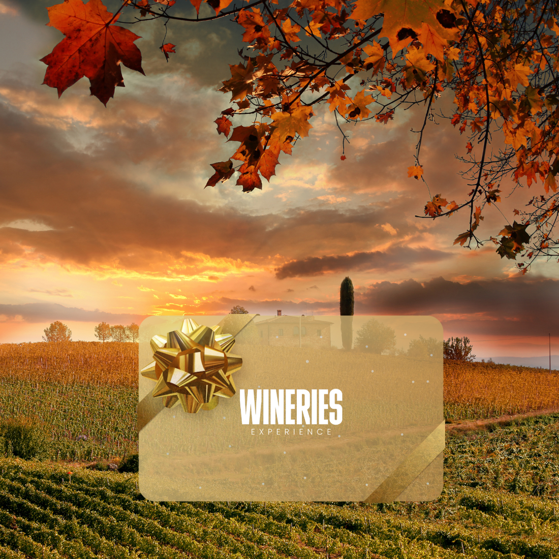 Gift Card - Tramonto in vigna con calice incluso WINERIES